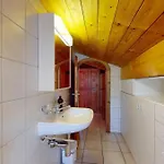 Engadine Attic Within Walking Distance Of The Facilities *